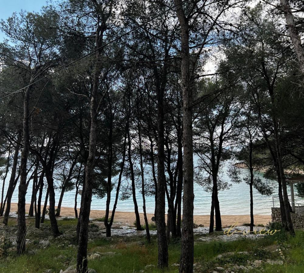 D-View Premium Mobile Home - Panoramic Seaview - 150 M From Beach, Free Parking Drage Exteriör bild